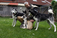 Huskies Erleben